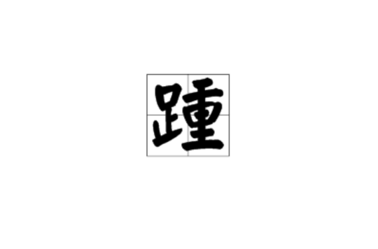 踵