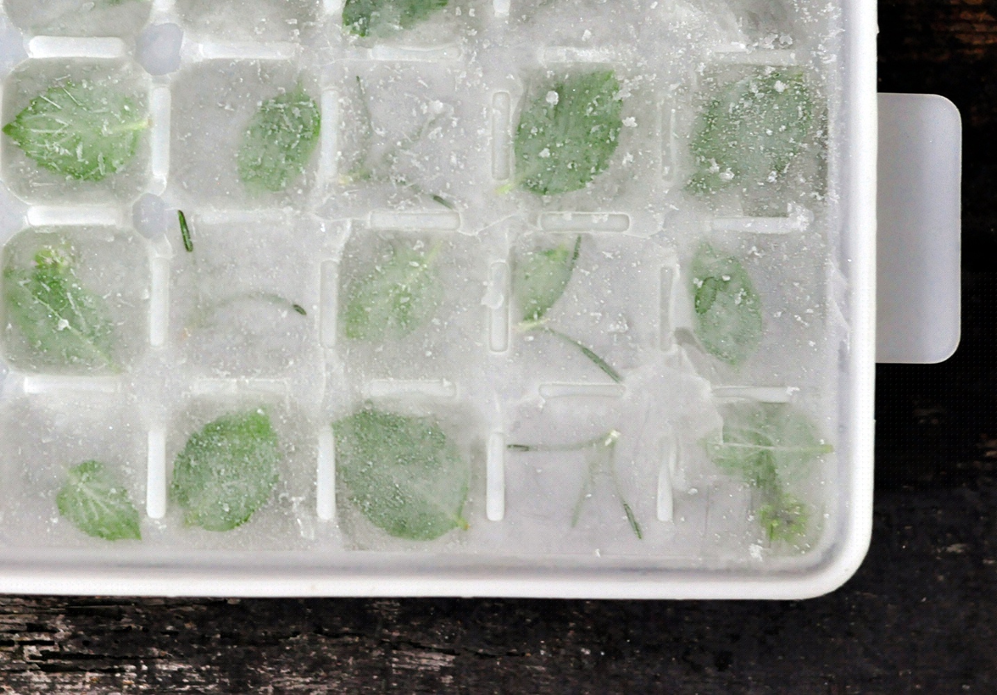 冰美人香草乾花