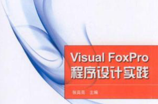 Visual FoxPro程式设计实践