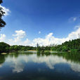 观山湖公园