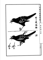 高松画谱