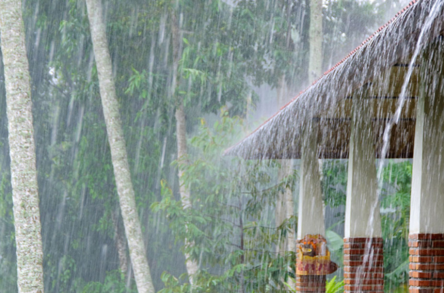 大雨(气象学名词)