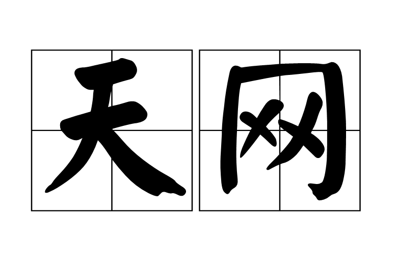 天网(汉语辞彙)