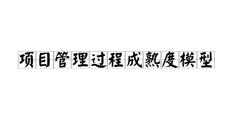 项目管理过程成熟度模型