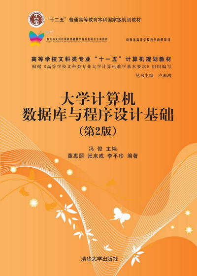 大学计算机资料库与程式设计基础（第2版）