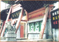 鹹阳博物馆 鹹阳博物馆