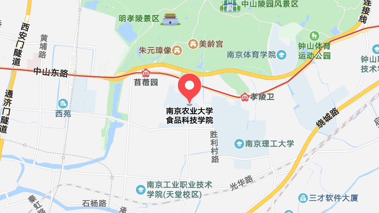 地图信息
