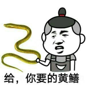 男人都是鳝变的 男人都是鳝变的