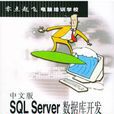 中文版SQL Server资料库开发培训教程