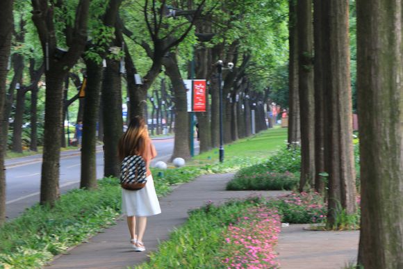 上海理工大学 上海理工大学