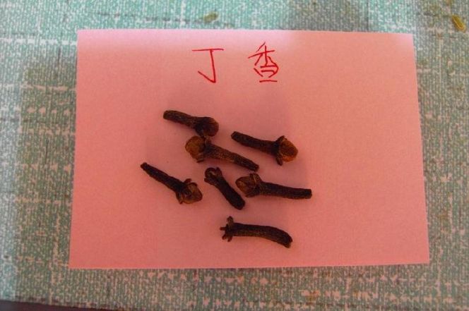 丁香 丁香
