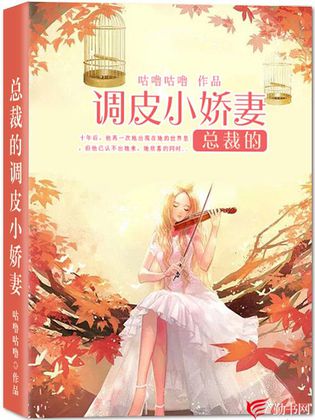 总裁的调皮小娇妻 总裁的调皮小娇妻