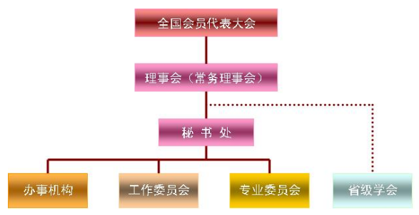 组织机构图 组织机构图