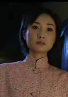 中国母亲(2006年井泉执导电视剧)