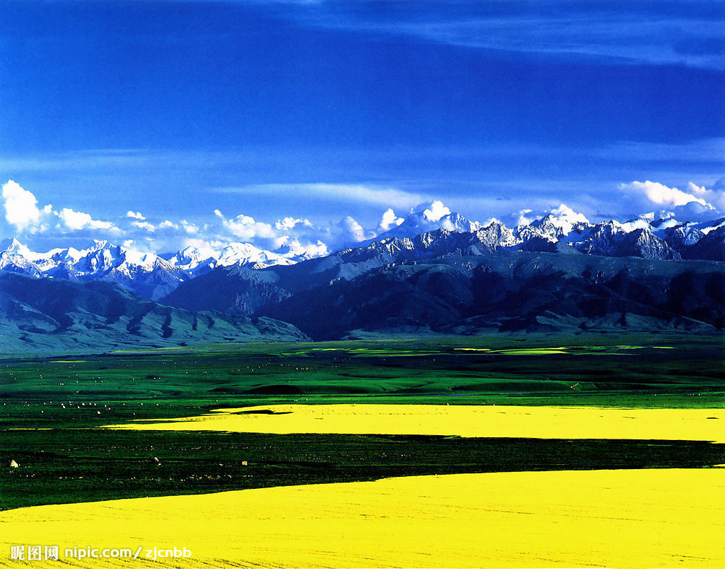 天山之春景 天山之春景