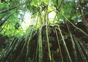 中美洲地峡 中美洲地峡