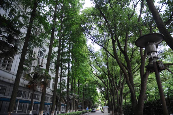 上海科专原址校景 上海科专原址校景