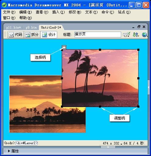 网页製作(企业开展电子商务的基础设施和信息平台)