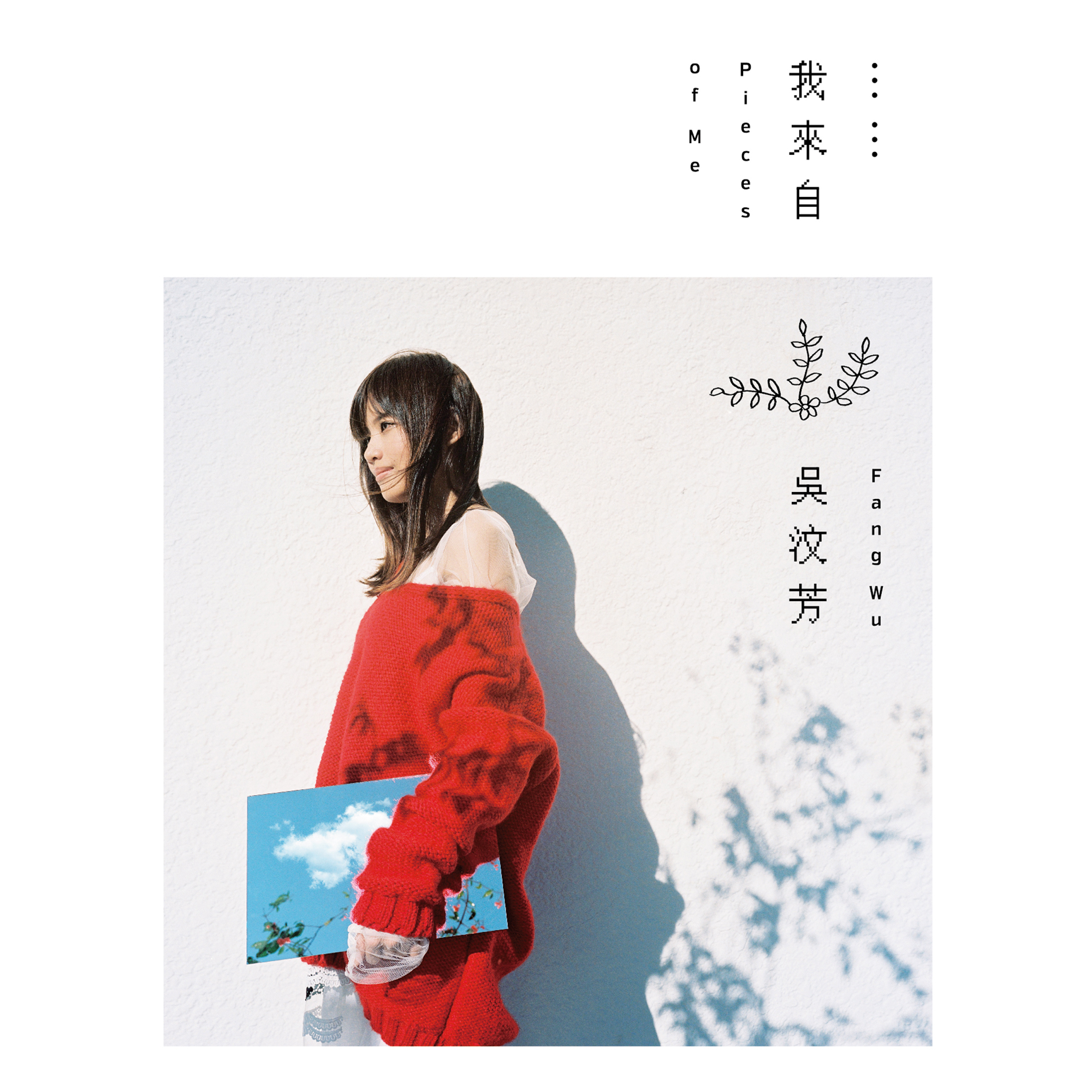 总有一天(吴汶芳演唱歌曲)
