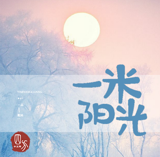 网路小说：一米阳光