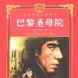 世界文学名着宝库-巴黎圣母院（青少版）