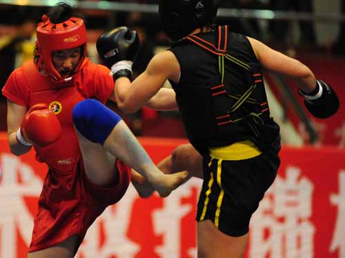 女子武术散打 女子武术散打