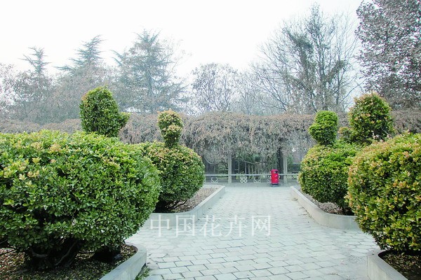 上街区 上街区