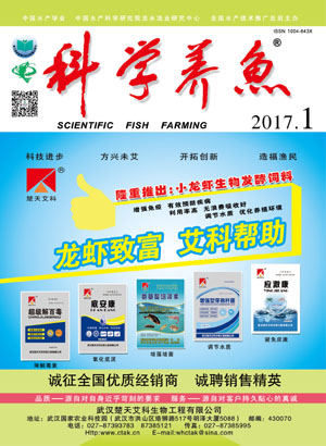 科学养鱼 科学养鱼