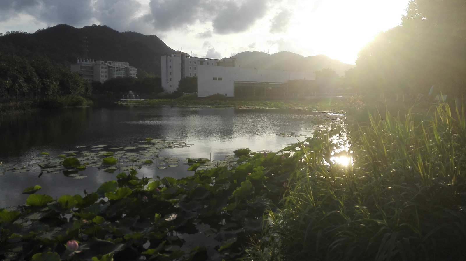 岁月湖日落 岁月湖日落
