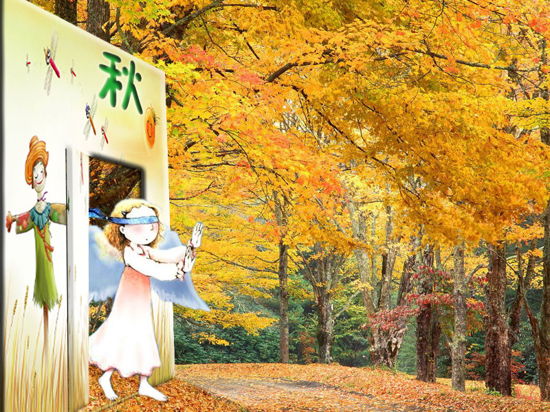一年四季 一年四季