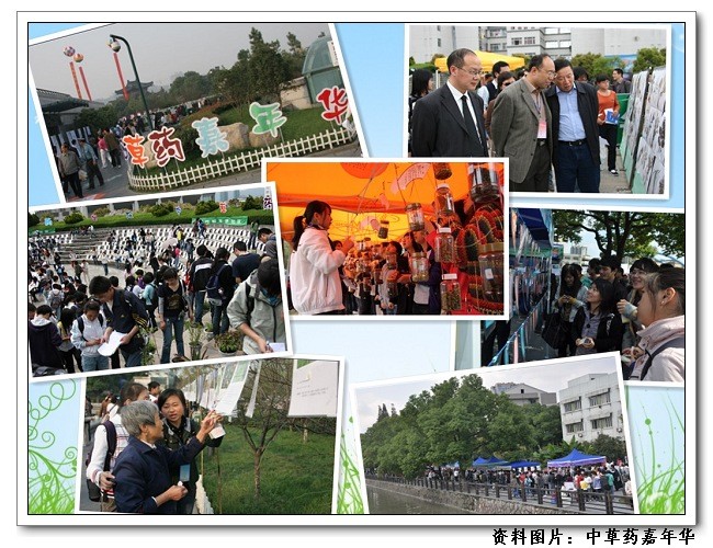 中医药文化校园行