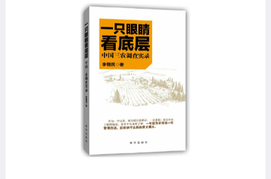 一只眼睛看底层