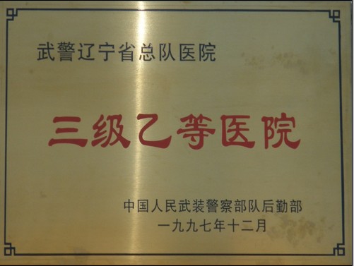 三级乙等医院 三级乙等医院