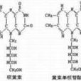 维生素B2缺乏症