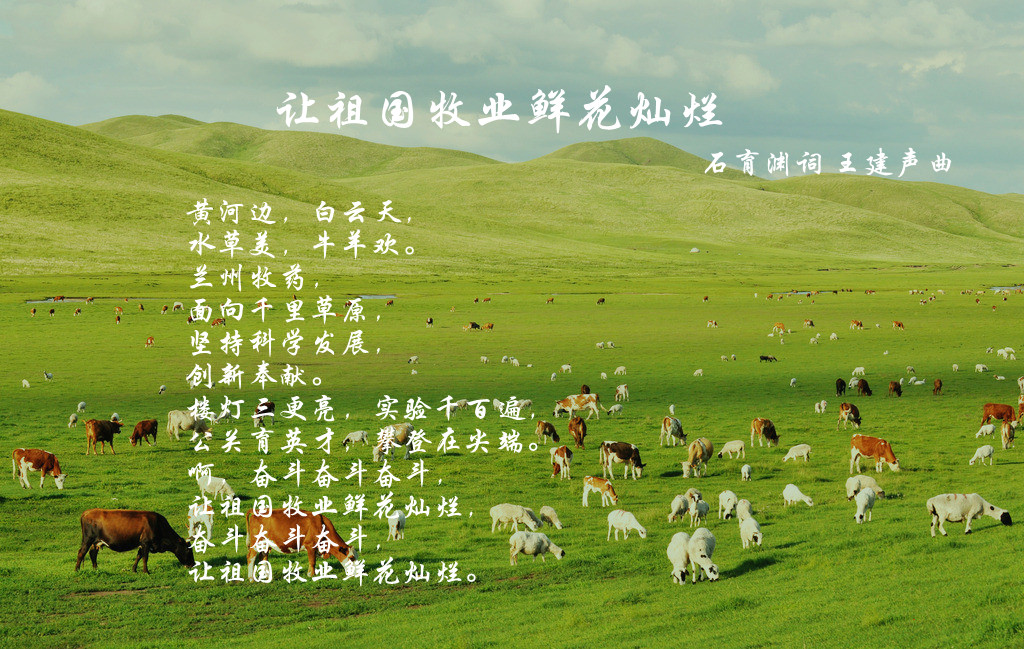 所歌 所歌