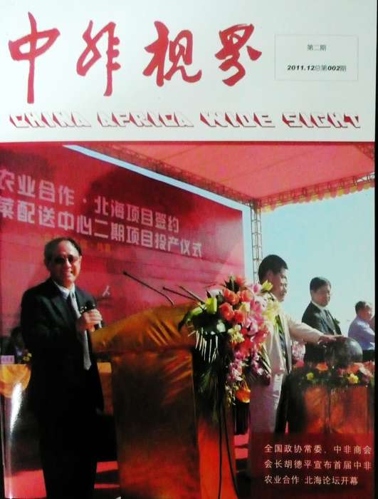 中非视界 中非视界