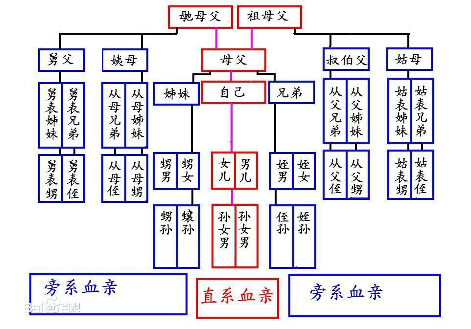 中国亲戚关係 中国亲戚关係