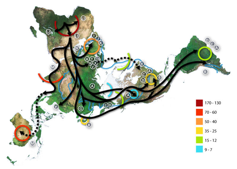人类迁移线路图 人类迁移线路图