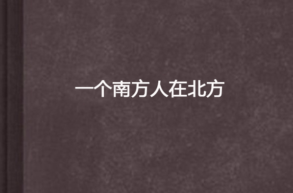 一个南方人在北方