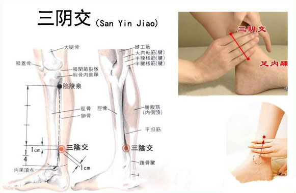 三阴交穴