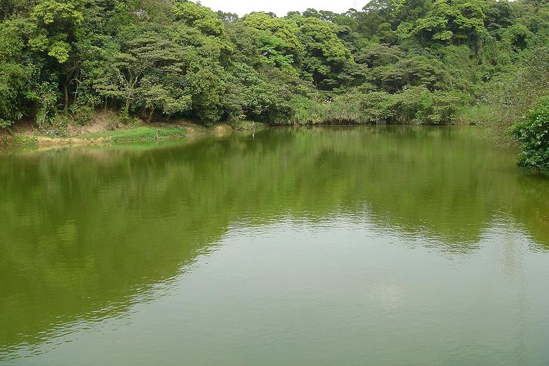 灰磘里的水塘 灰磘里的水塘