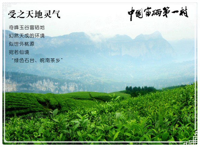 中国富硒第一村