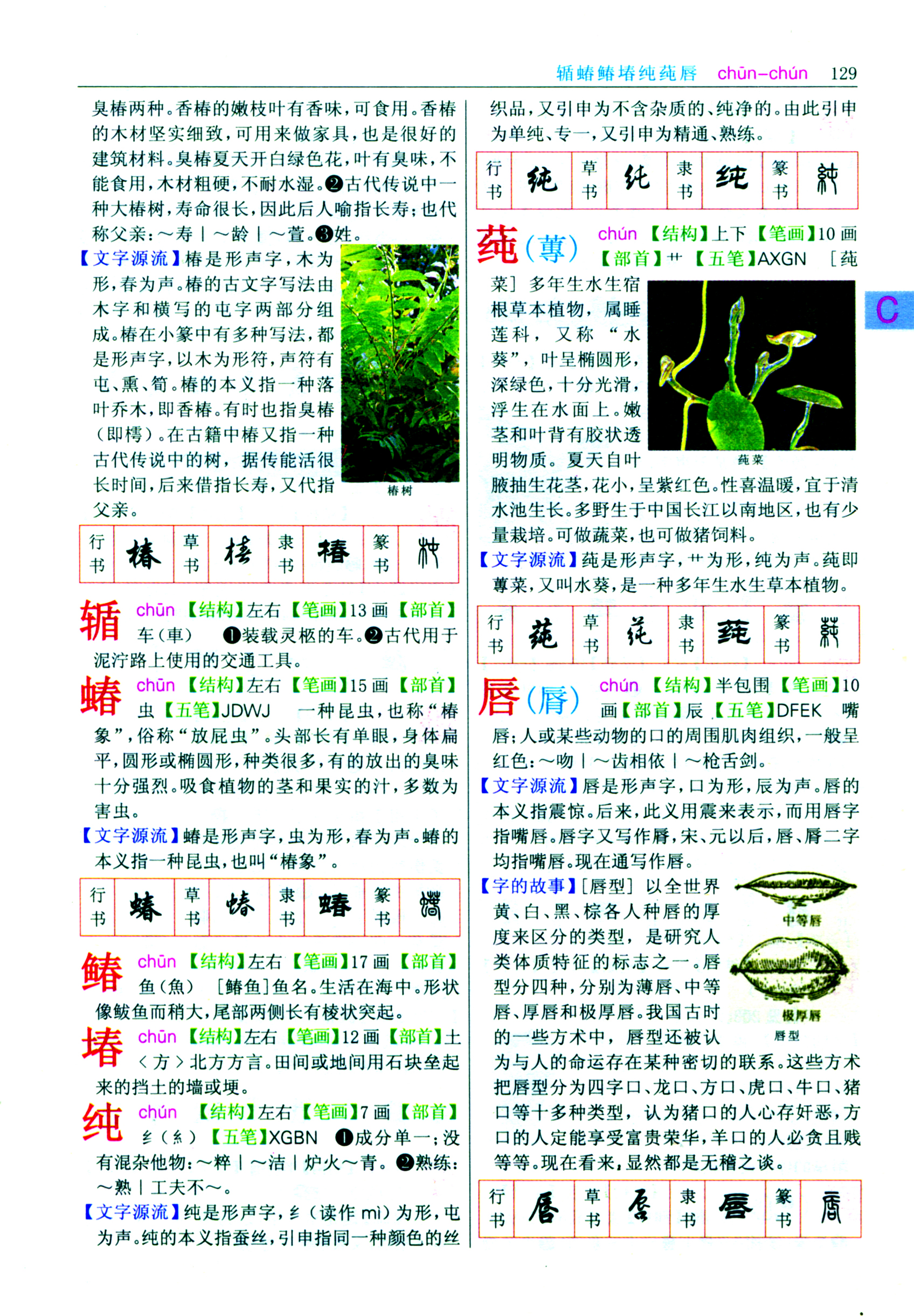 《新华大字典》 《新华大字典》