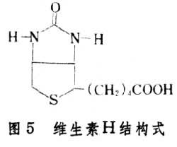 维生素H 维生素H