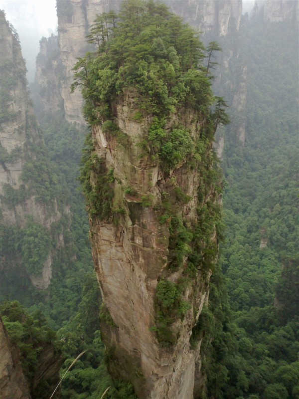 上海到张家界旅游网 上海到张家界旅游网