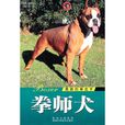 世界名犬-拳师犬