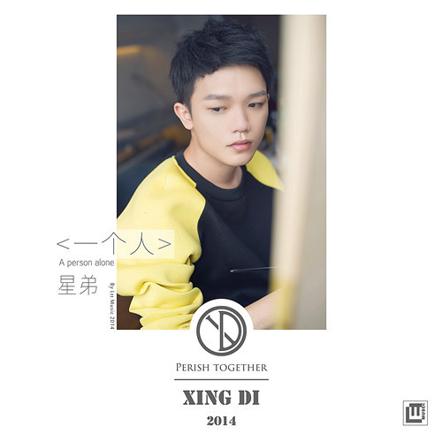 一个人(星弟演唱的歌曲)