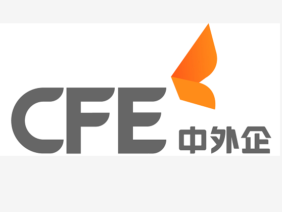 中外企人力资源服务有限公司