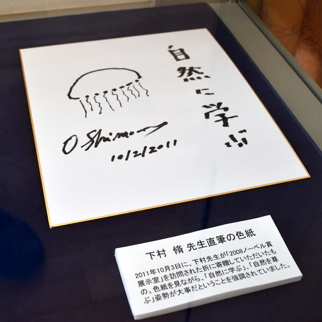 参观名古屋大学诺贝尔奖展览室时,下村修的签名图画 参观名古屋大学诺贝尔奖展览室时,下村修的签名图画
