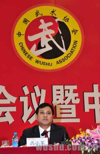 中国武术协会 中国武术协会